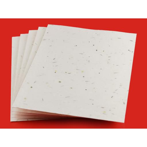A6 Plantable seeded Card Sheets.